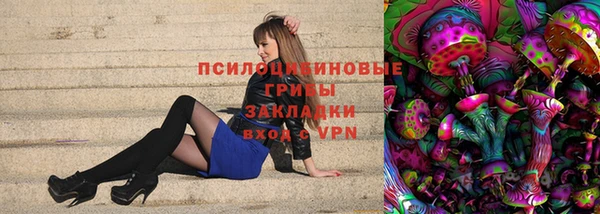 круглые Алзамай