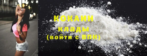 сатива Нягань